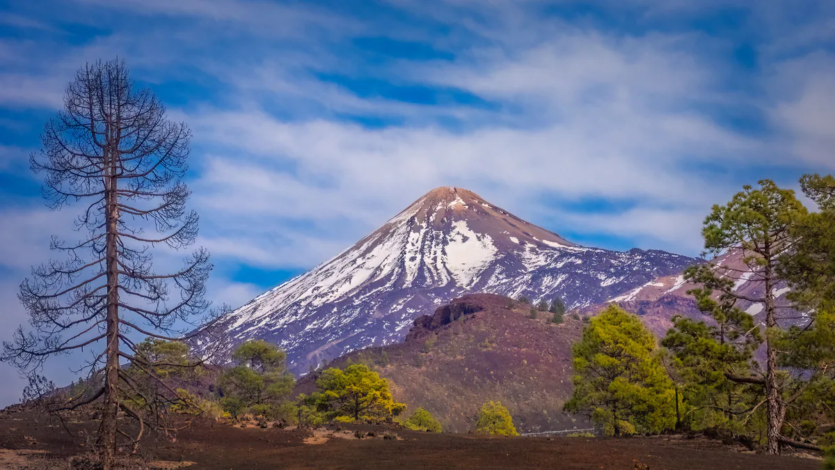 Teide nevado entre pinos en Tenerife durante diciembre